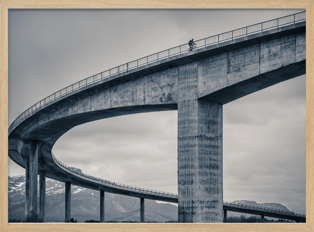 the lonely biker - Poster / Art Print