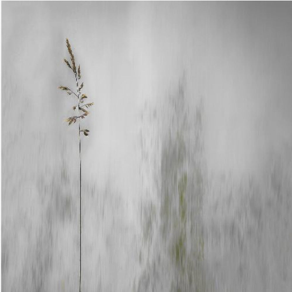 blade of grass - Poster / Art Print