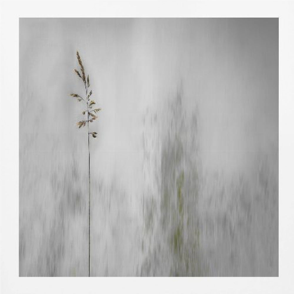 blade of grass - Poster / Art Print
