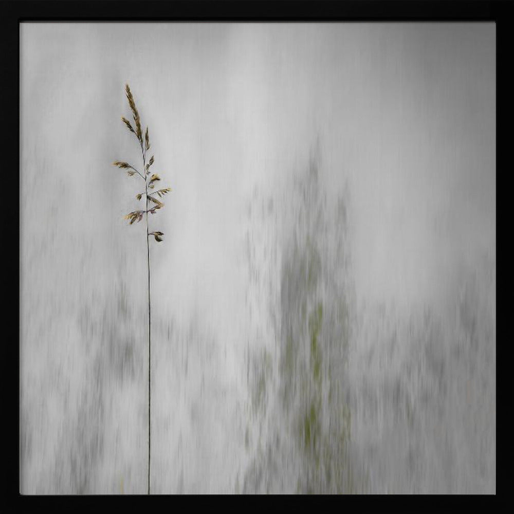 blade of grass - Poster / Art Print