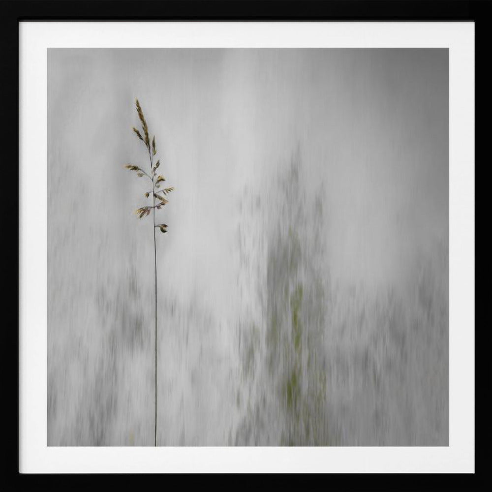 blade of grass - Poster / Art Print