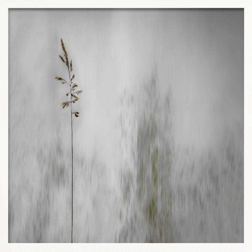 blade of grass - Poster / Art Print