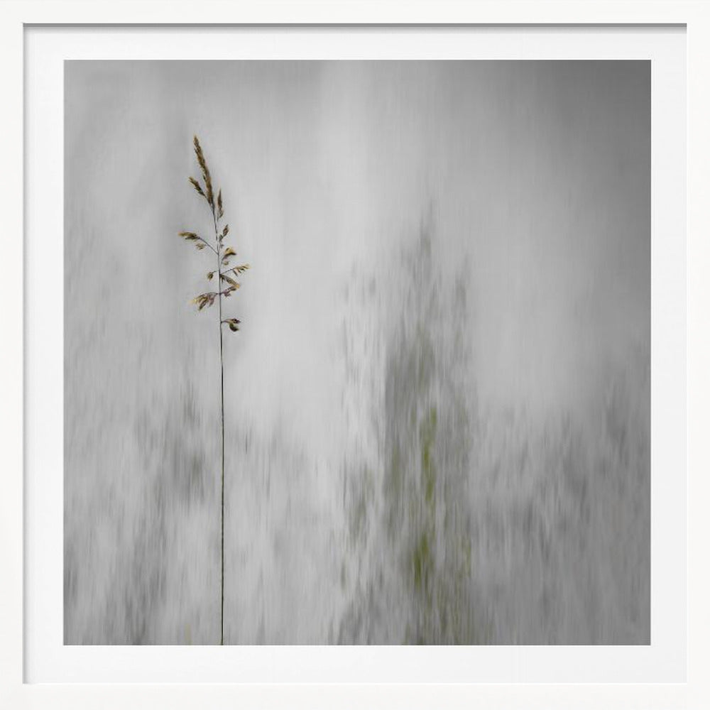 blade of grass - Poster / Art Print