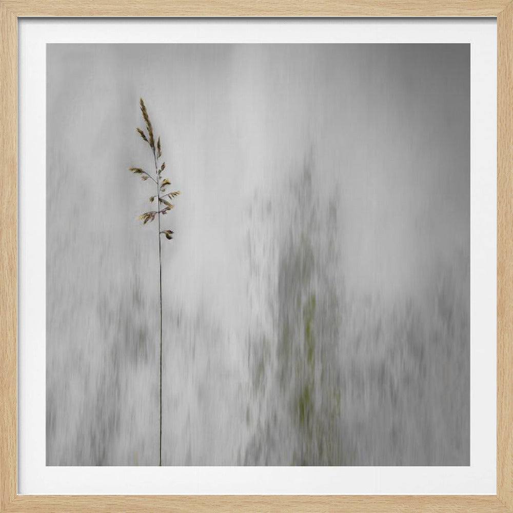 blade of grass - Poster / Art Print
