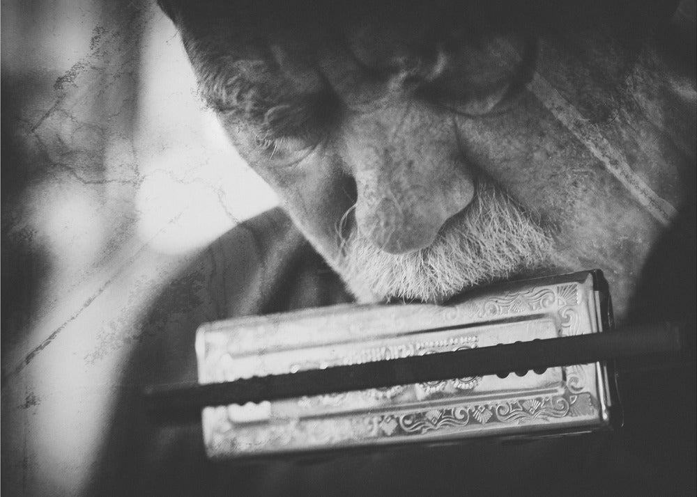 Wolf with harmonica - Poster / Art Print