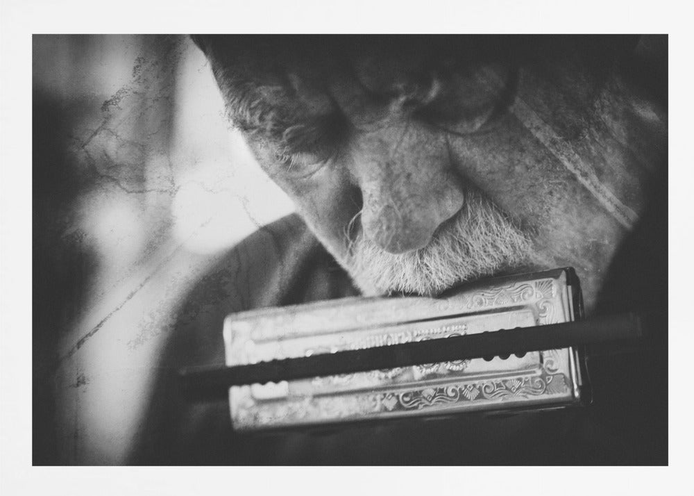 Wolf with harmonica - Poster / Art Print