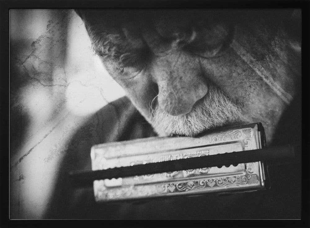 Wolf with harmonica - Poster / Art Print