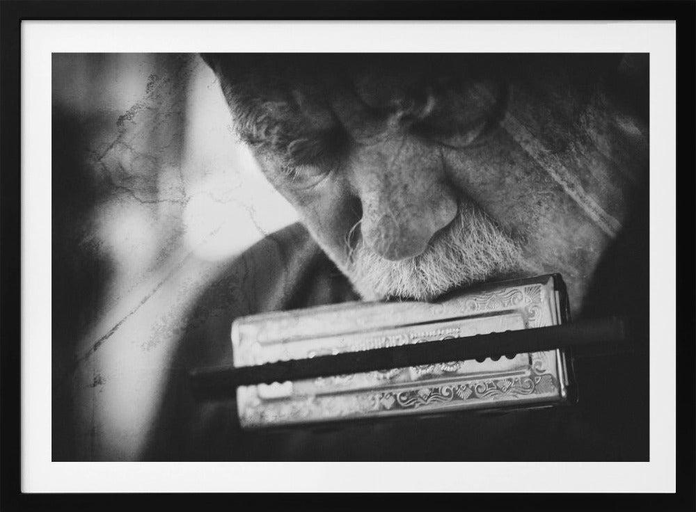 Wolf with harmonica - Poster / Art Print