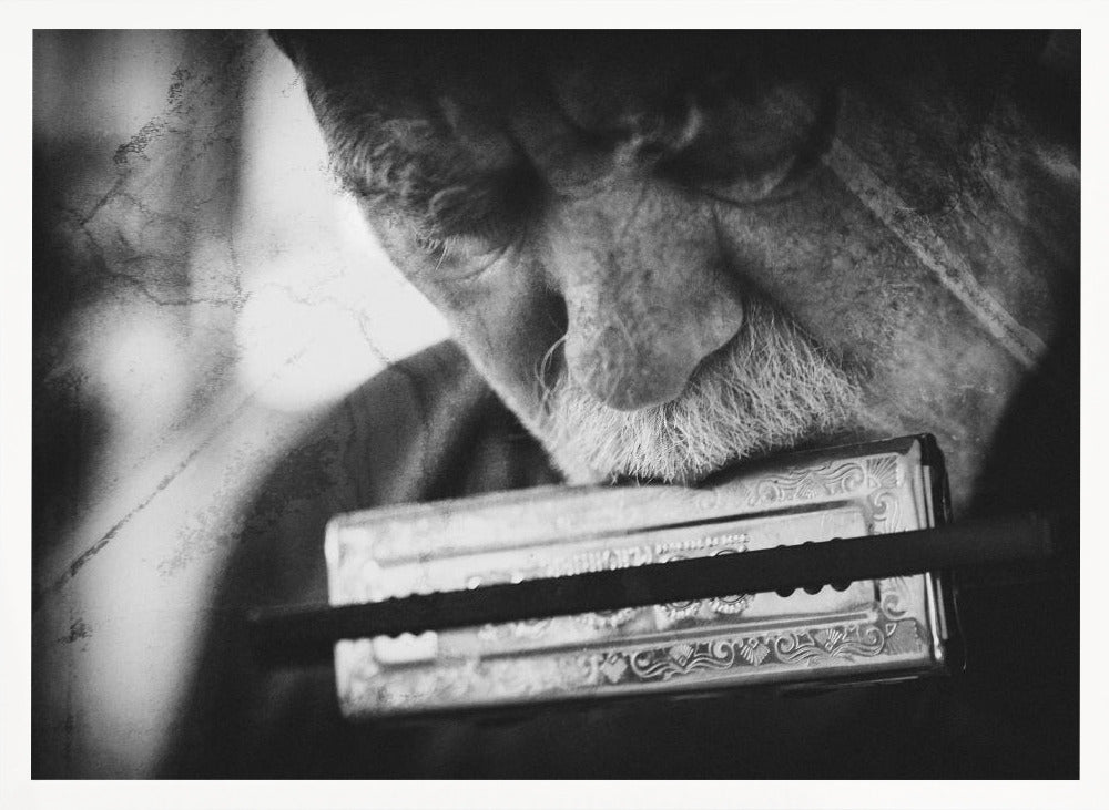 Wolf with harmonica - Poster / Art Print