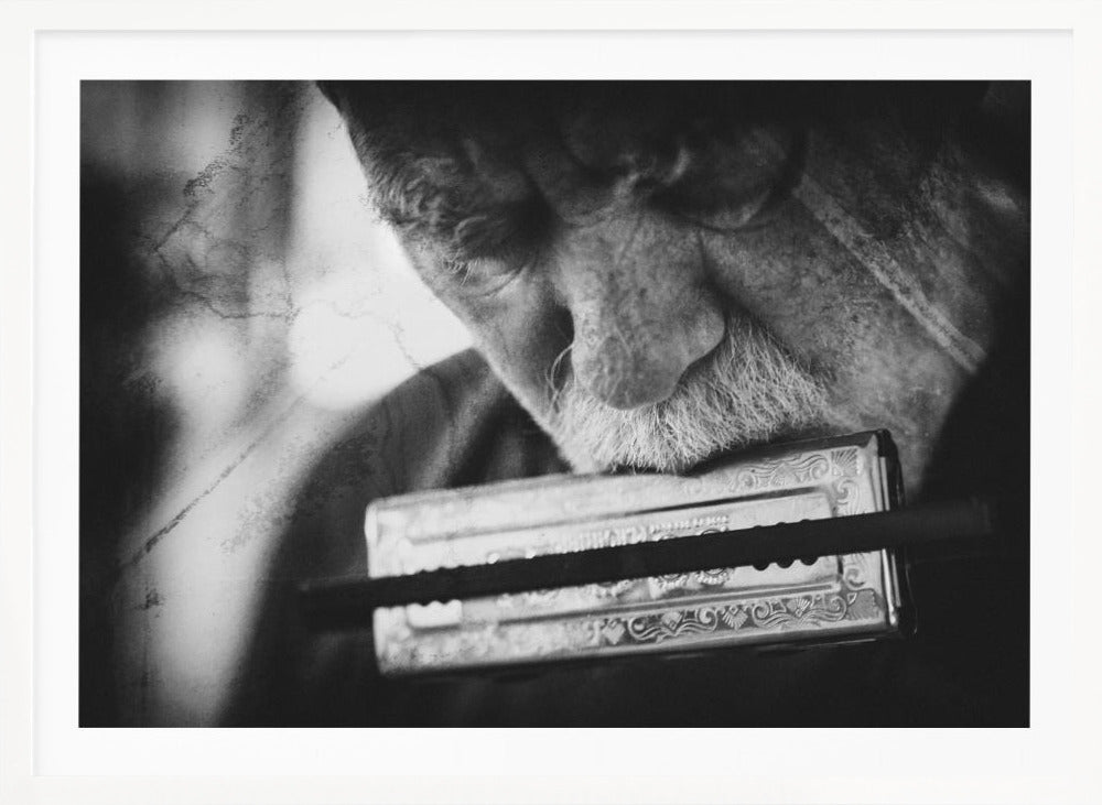 Wolf with harmonica - Poster / Art Print