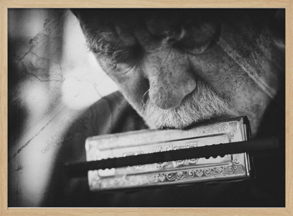 Wolf with harmonica - Poster / Art Print