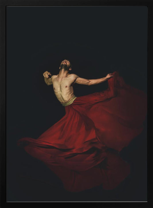 Fly - Poster / Art Print