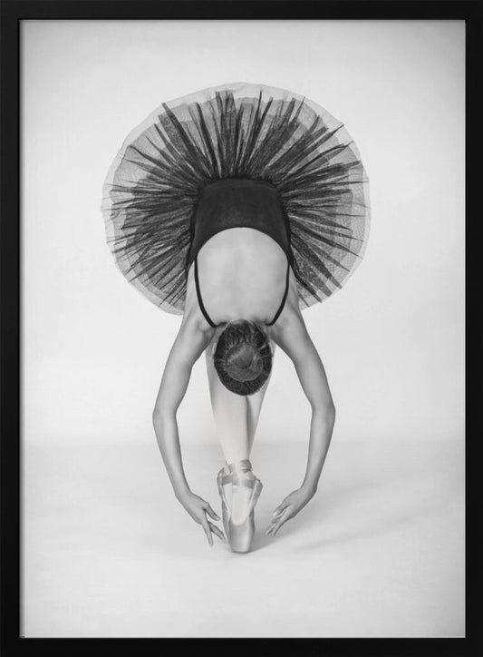 Ballet Technique - Poster / Art Print