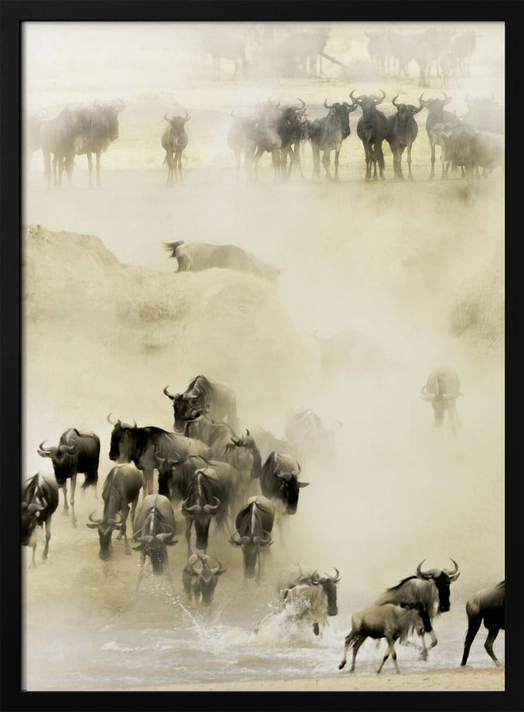 Swarming - Poster / Art Print