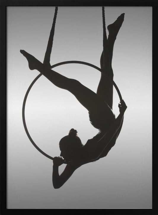 The Aerialist - Poster / Art Print