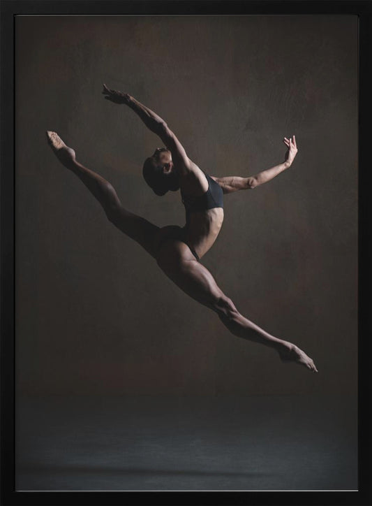 Elegance in the Dark - Poster / Art Print
