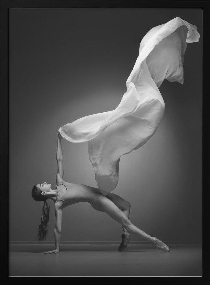 Art Of Movement Series - Poster / Art Print