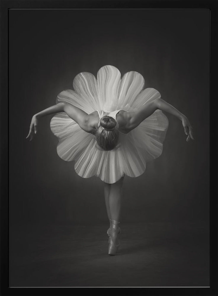 Floral Ballet - Poster / Art Print