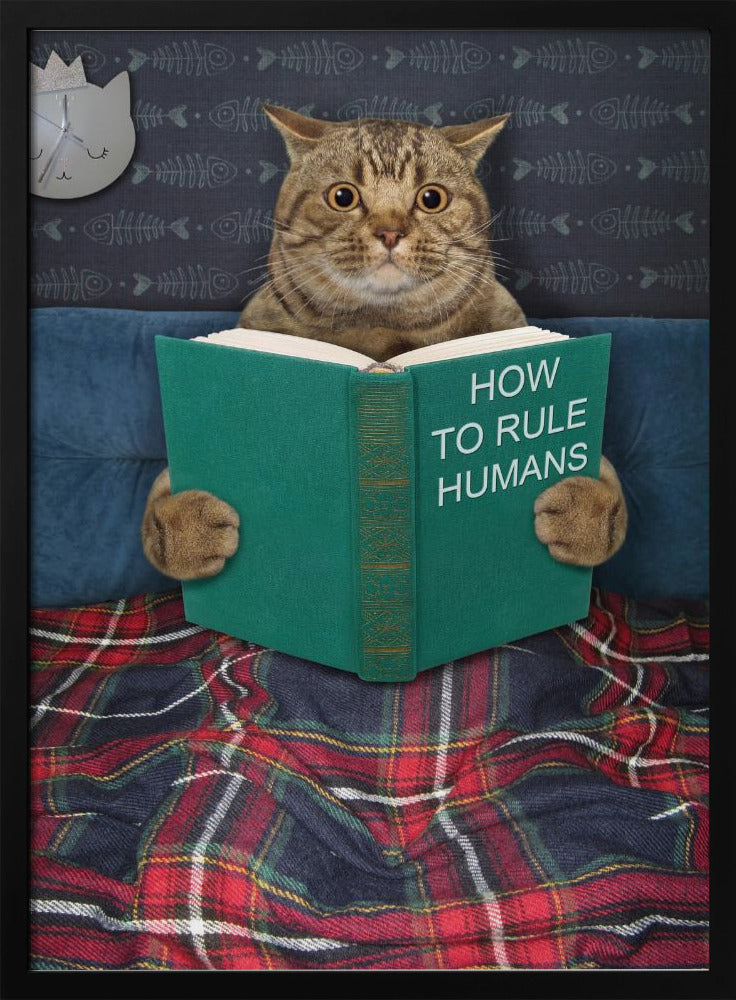 Very valuable advice ... - Poster / Art Print