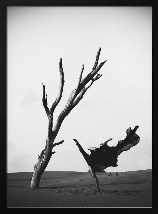 Contrast - Poster / Art Print