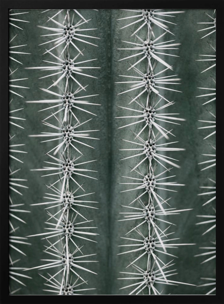 Cactus green - Poster / Art Print
