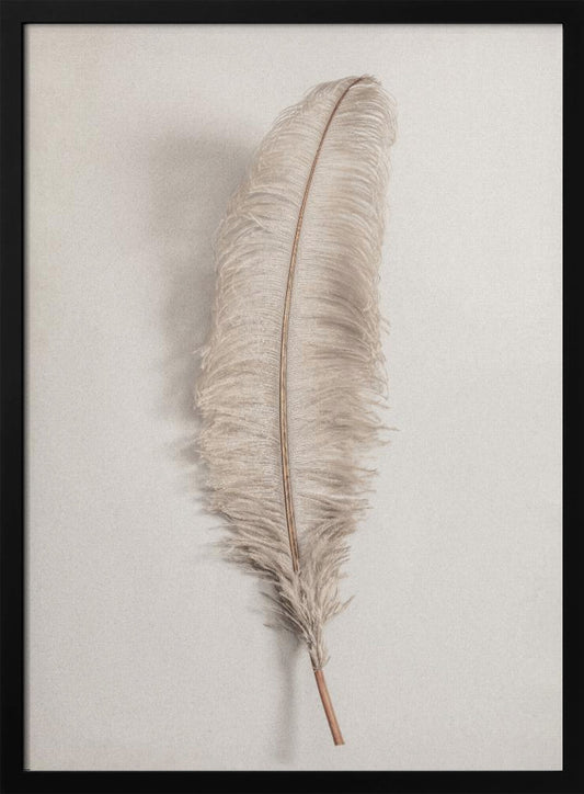 Feather_002 - Poster / Art Print