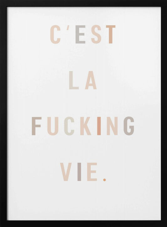 C'est la fucking vie - Poster / Art Print