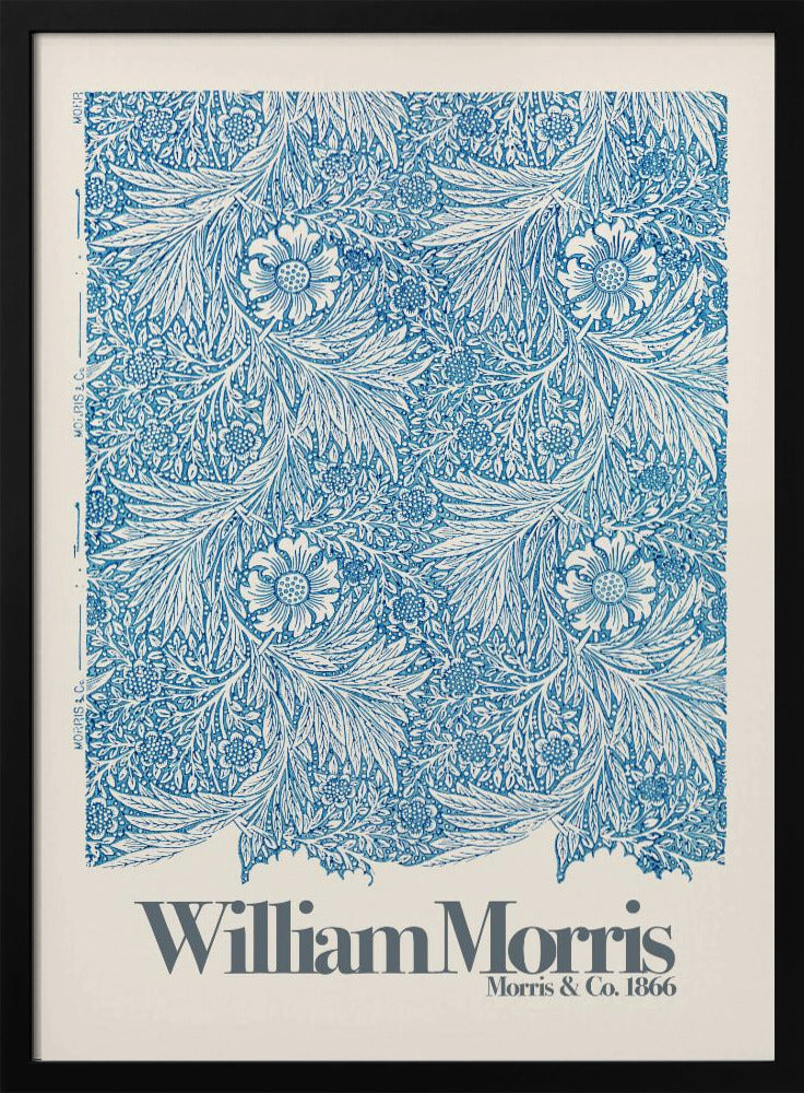 Marigold - Poster / Art Print