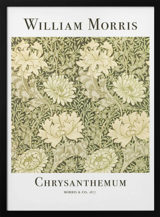 Chrysanthemum - Poster / Art Print