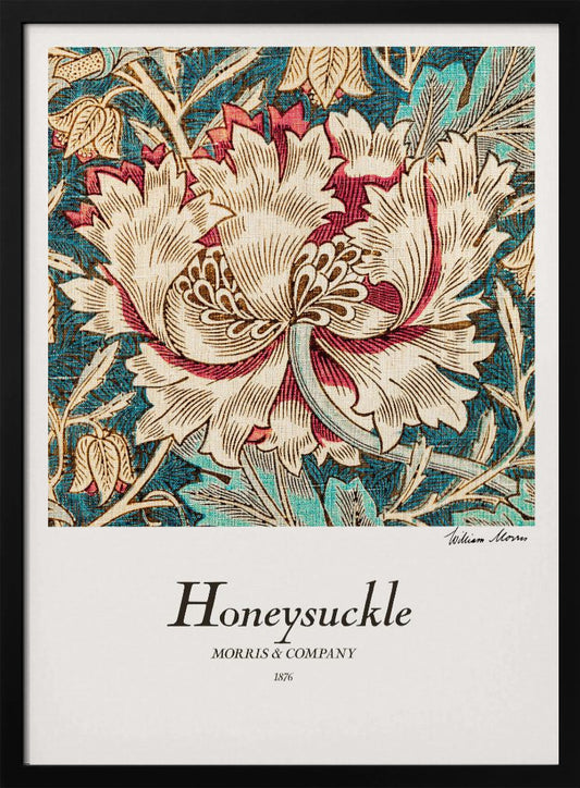 Honeysuckle - Poster / Art Print