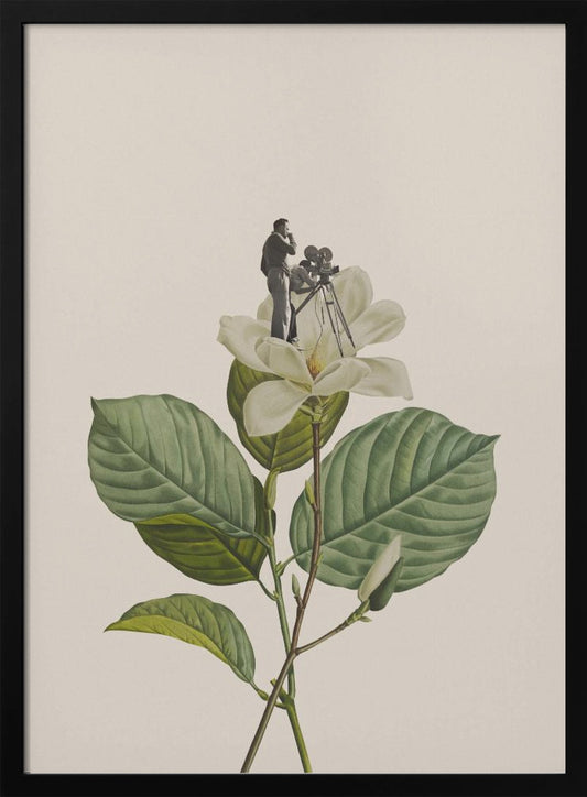 Botanical vintage cameraman - Poster / Art Print