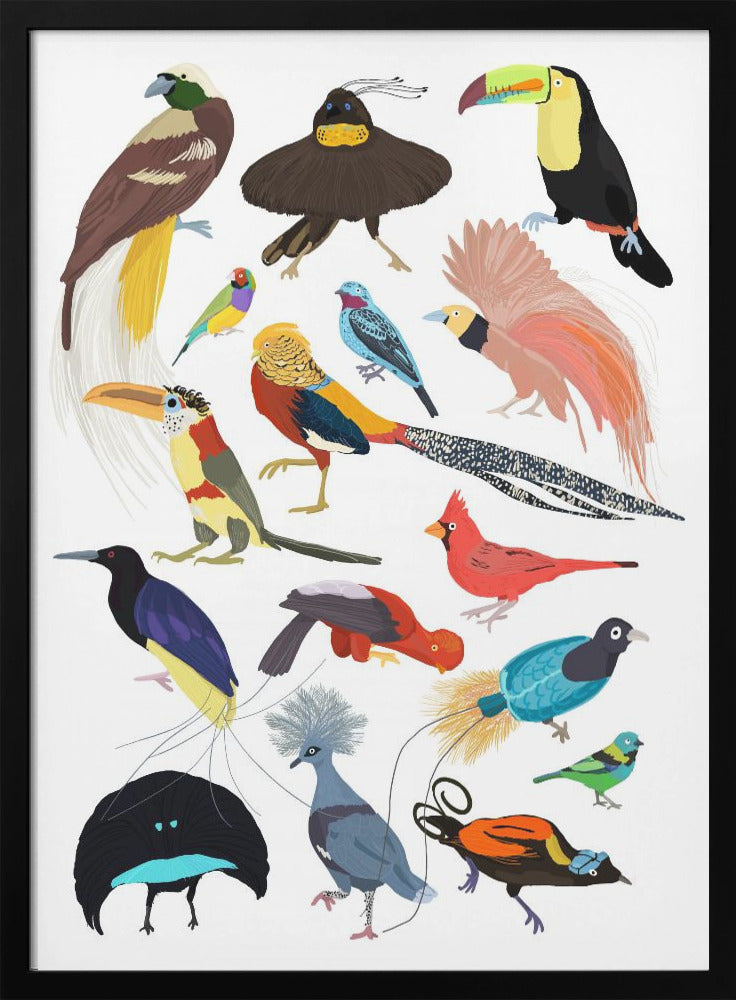 Birds of Paradise - Poster / Art Print