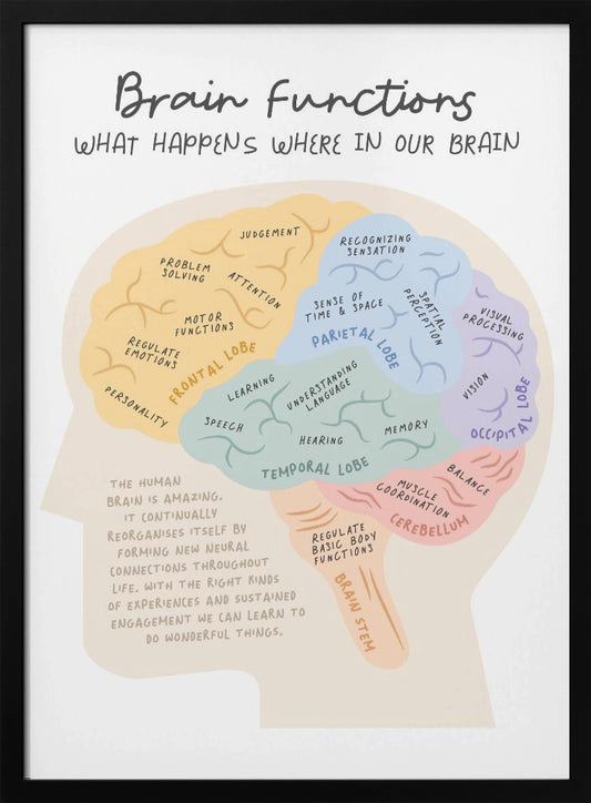 Brainfunctions - Poster / Art Print