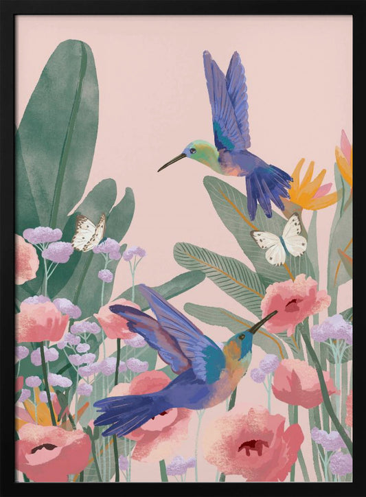Hummingbirds - Poster / Art Print