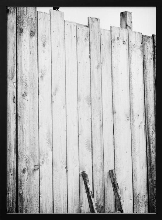 freed - Poster / Art Print