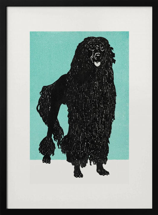 Poodle - Poster / Art Print