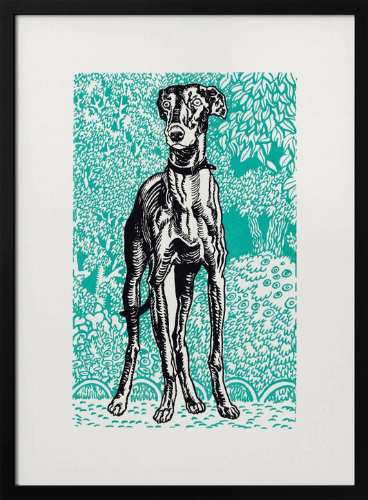 Greyhound - Poster / Art Print