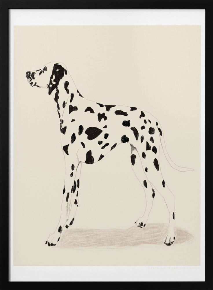 Pandc Dalmation - Poster / Art Print