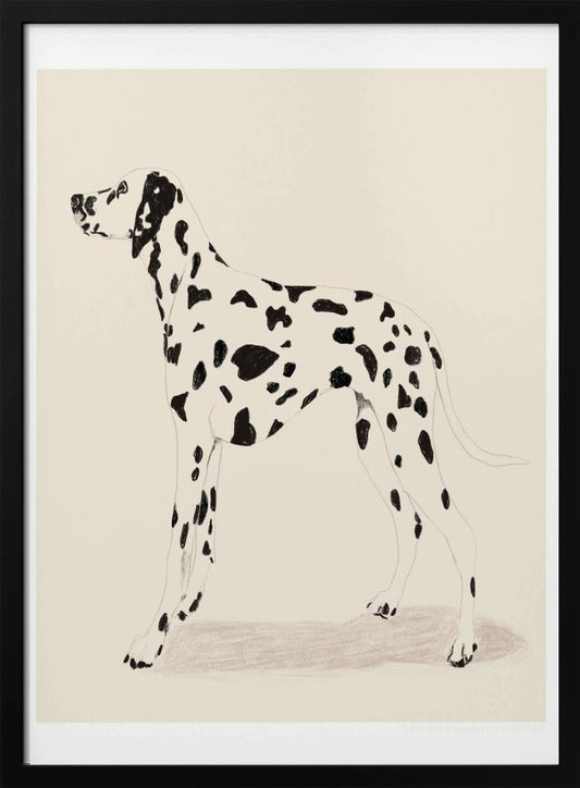 Pandc Dalmation - Poster / Art Print