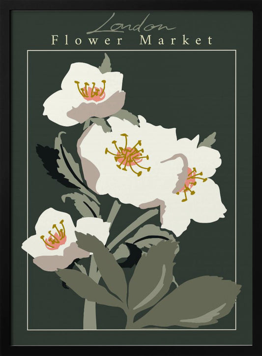 Flower Market London Hellebore - Poster / Art Print