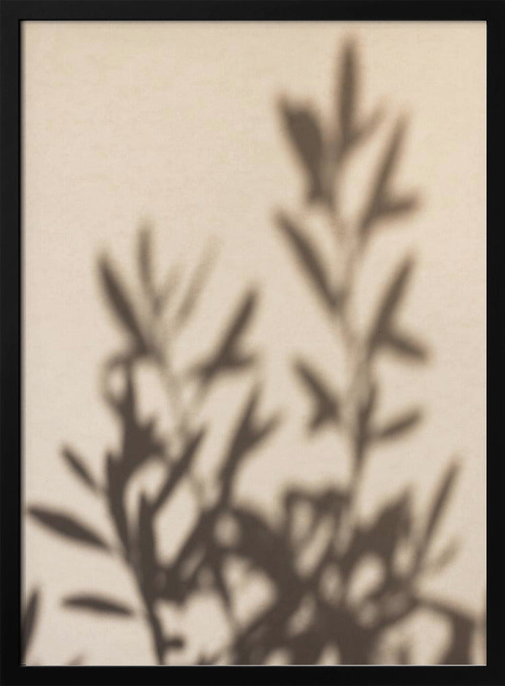 Summer Shadows 6 - Poster / Art Print