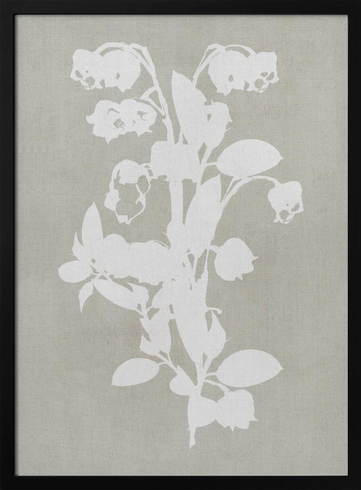 Botanical Illustration 4 - Poster / Art Print