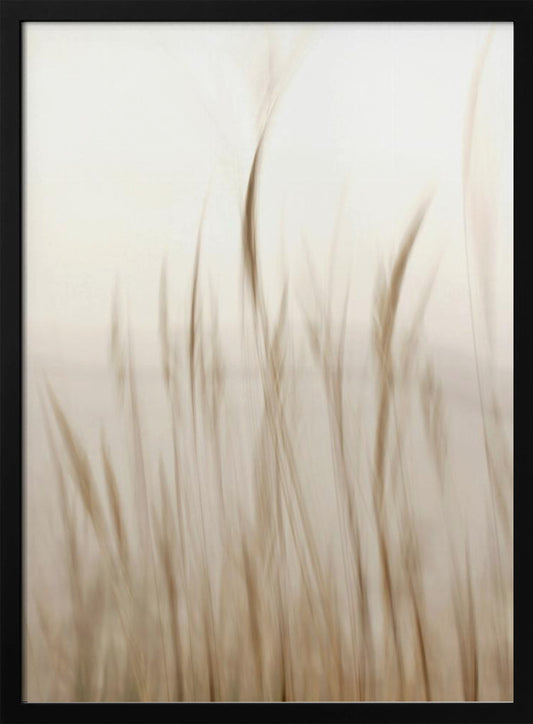 In the wind - Poster / Art Print