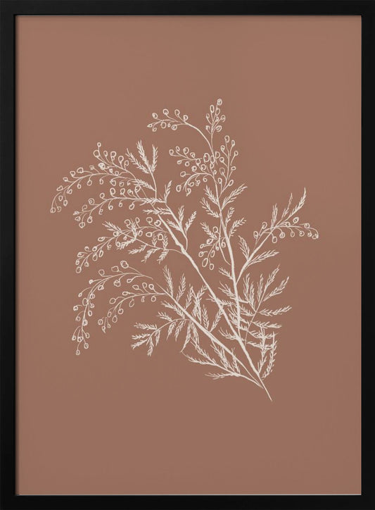 Acacia Botanical Branch - Poster / Art Print