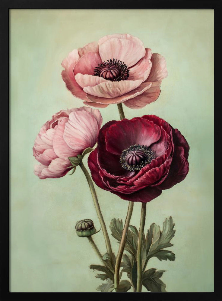 Peonies - Poster / Art Print
