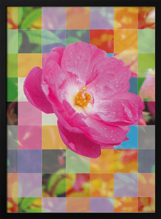 Vivid Pink Flower with Colorful Mosaic - Poster / Art Print