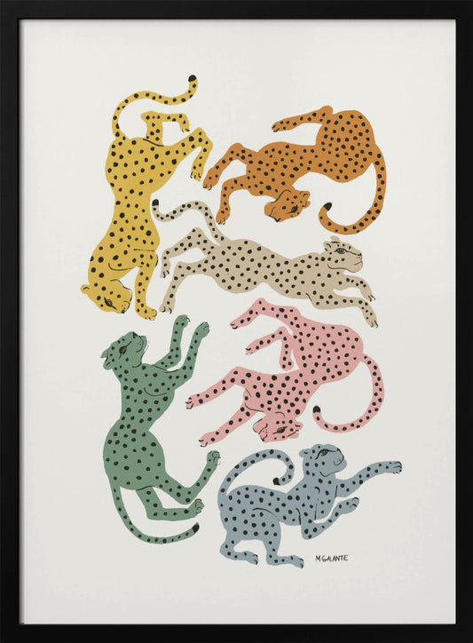 Colorful Cheetahs - Poster / Art Print