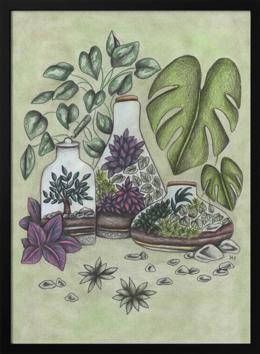 Magical Terrariums - Poster / Art Print