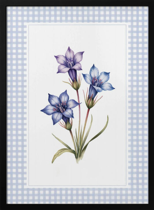 Gentiana Flowers - Poster / Art Print
