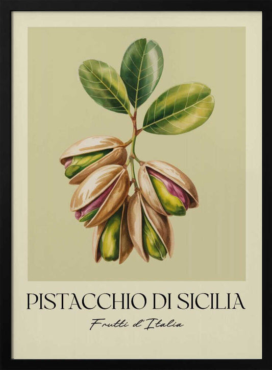 Pistacchio Di Sicilia - Poster / Art Print